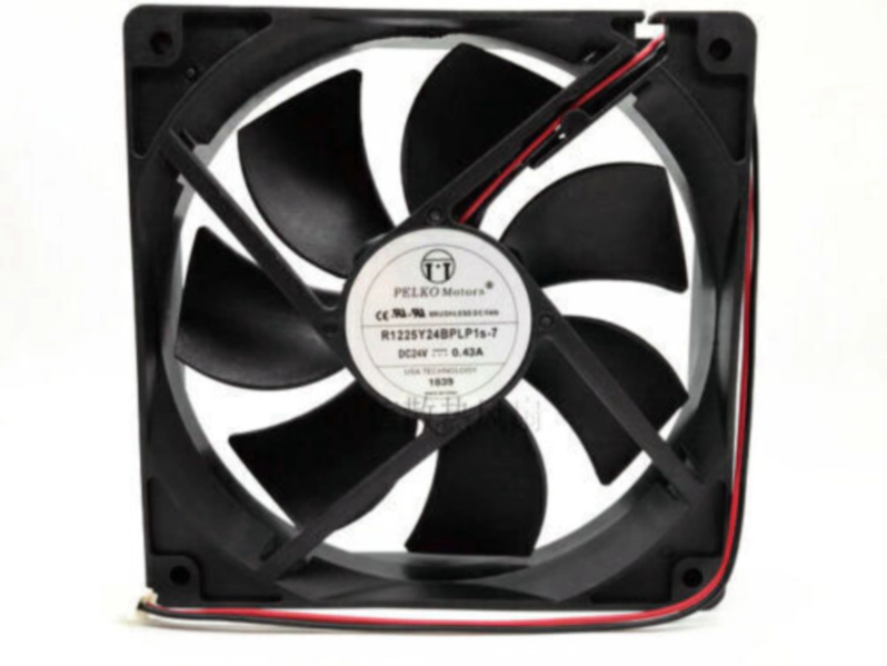 R1225Y24BPLP1s-7